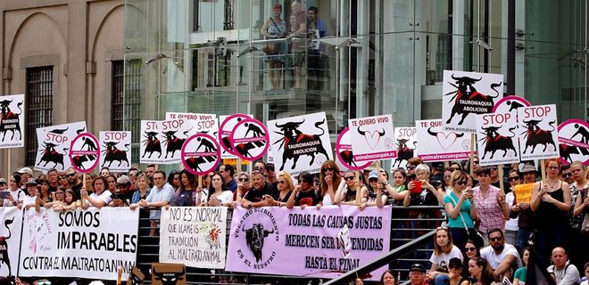 В Испании тысячи людей требуют запретить корриду - Фото