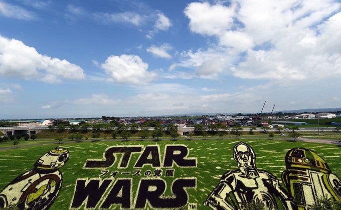 В Японии украсили рисовые поля масштабными 3D-рисунками - фото