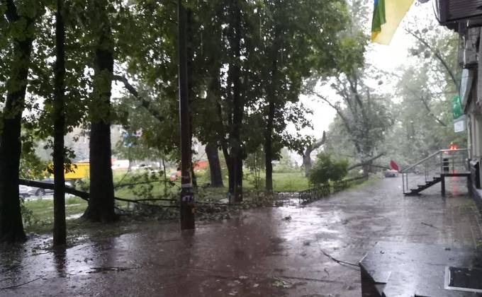 Поваленные деревья и затопленный суд: в Киеве прошел ураган- фото