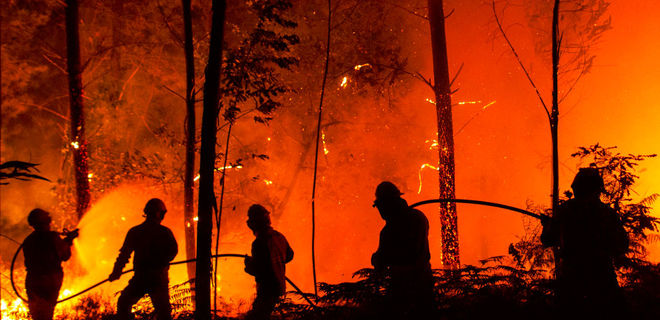 Аномальная жара в Европе: лесные пожары, есть первые жертвы - Фото