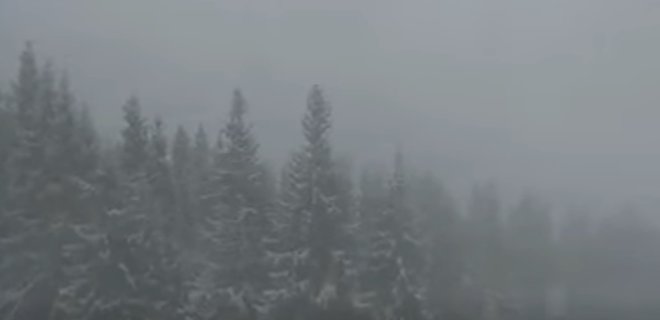 Шквалы и снегопад. Туристов просят не ходить в Карпаты - Фото