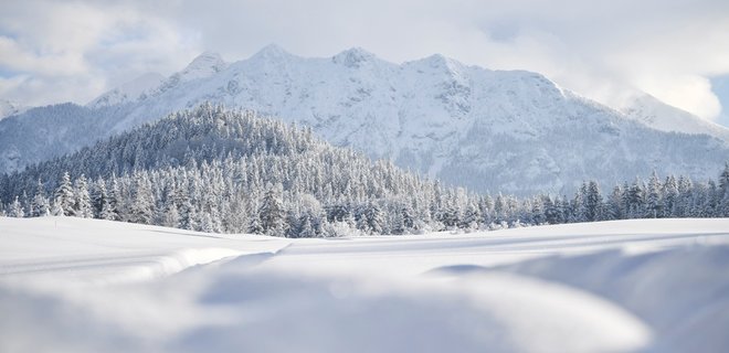 Рекордные снегопады в Австрии: погибли три лыжника - Фото