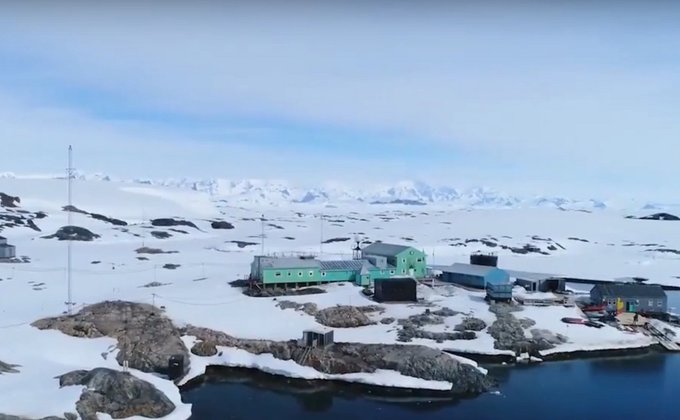 Со дна в Антарктиде украинцы подняли "уникальных глубоководных животных" – фото
