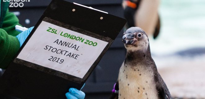Зоопарк Лондона показал рентген-снимки своих животных: фото - Фото