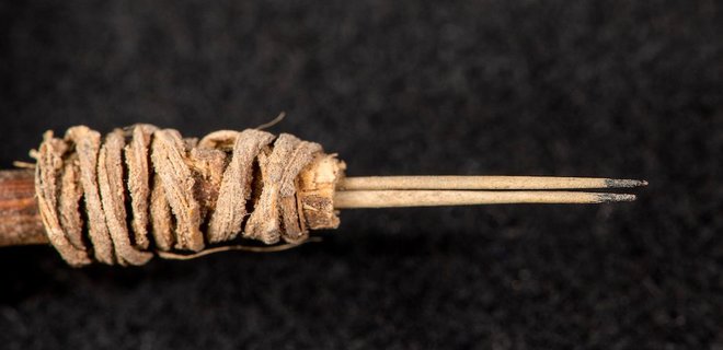Иглы кактуса на ветке: найдена самая старая тату-машинка - фото - Фото