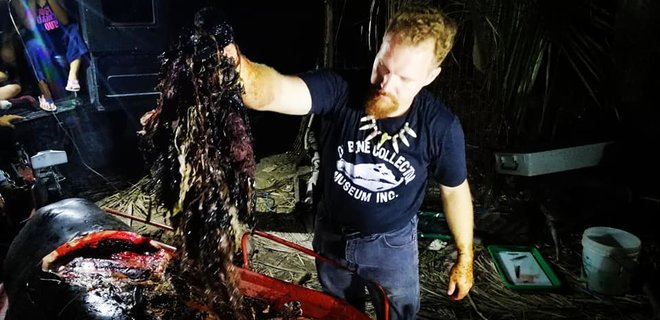 На Филиппинах в желудке кита обнаружили 40 кг пластиковых пакетов - Фото