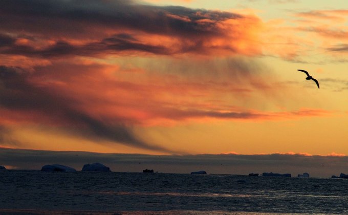 Невероятные краски. Как выглядит Антарктика в июне: фоторепортаж