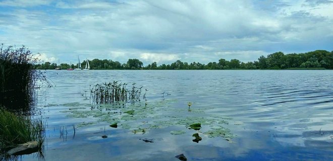 Екологи назвали катастрофічним стан Дніпра. У воді знайшли 161 забруднювач - Фото