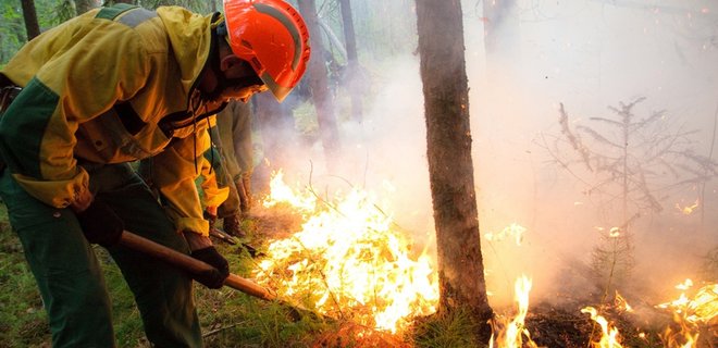 В Greenpeace зафиксировали рост лесных пожаров в Сибири: фото - Фото