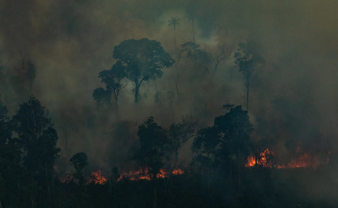 Отказ от $22 млн. Как Бразилия сама Амазонию "тушит" - фото