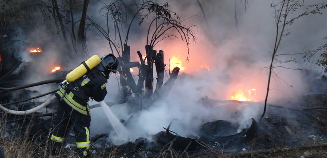 В Полтавской области второй день горит лес - Фото