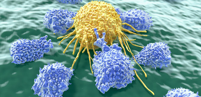 Ученые США нашли способ предотвратить метастазы рака: идут тесты - Фото