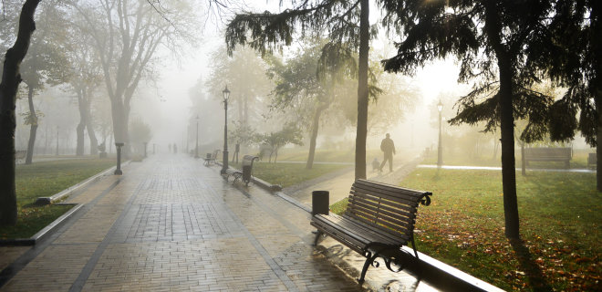 В Украине объявили желтый уровень опасности из-за тумана: погода - Фото