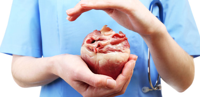 Цена сердца. Кабмин утвердил тарифы на пересадку органов - Фото