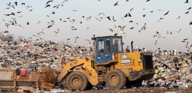 Штрафы за мусор просят увеличить в десятки и сотни раз: петиция ждет ответа Зеленского - Фото