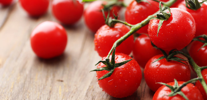 Японці ласують генетично відредагованими помідорами по 600 грн за кілограм - Фото