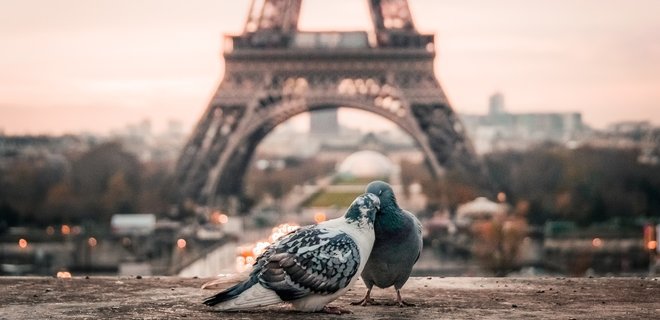 Карантин. Во Франции снова разрешат посещать Эйфелеву башню и Лувр - Фото