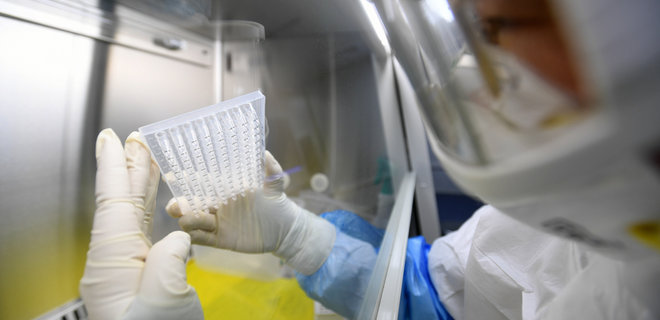Коронавирус. Ученые начали испытывать новую вакцину на мышах - Фото