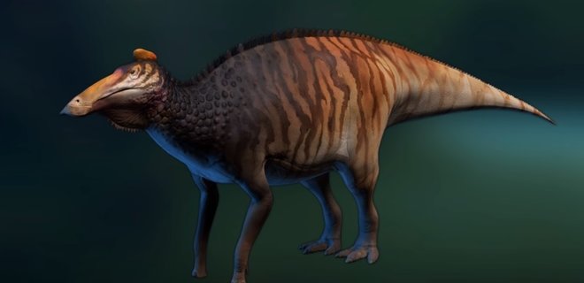 В хвосте динозавра обнаружили редкий вид рака: он поражает людей - Фото