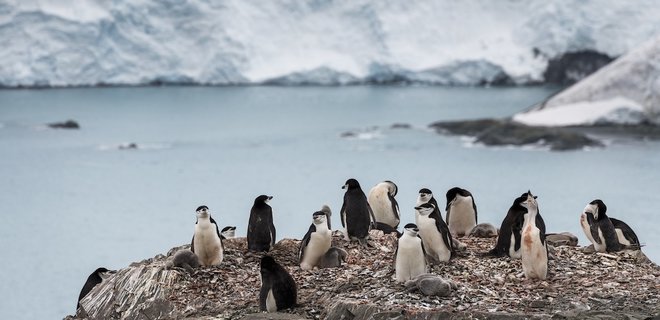 Впервые в истории. Температура в Антарктике поднялась выше 20°C - Фото