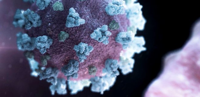 В Нидерландах заявили об открытии антитела, которое блокирует коронавирус - Фото