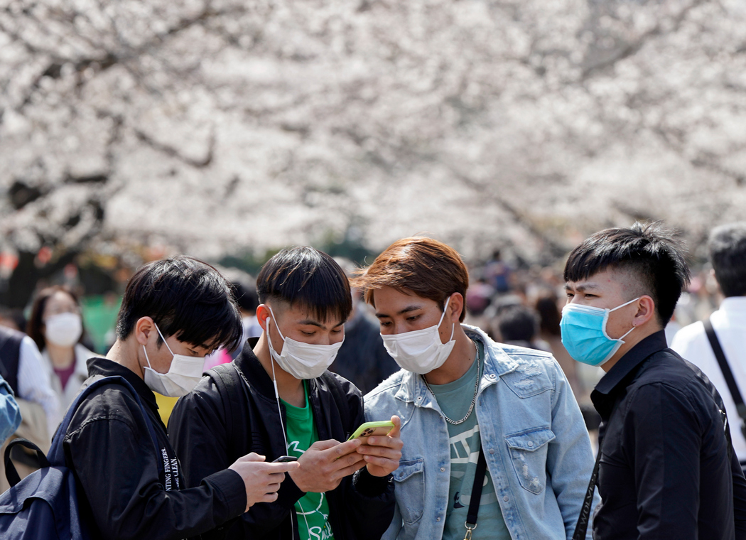 В Японии зацвела сакура. Люди вышли в парк, несмотря на коронавирус:  фоторепортаж - новости Украины, Мир - LIGA.net