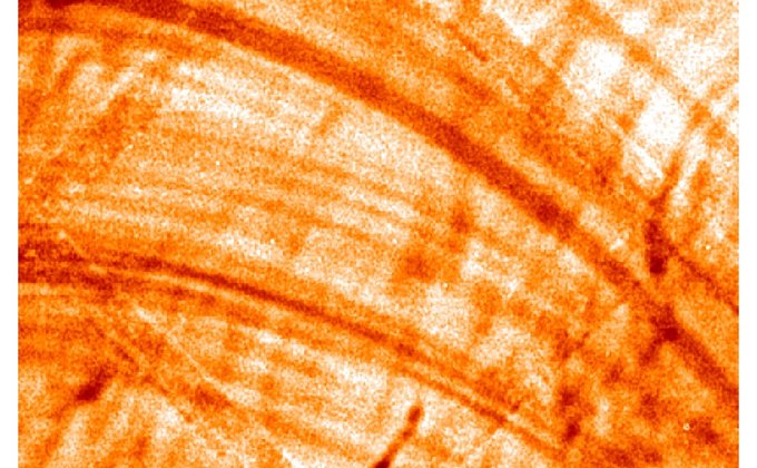 Ученые опубликовали самые детальные фото Солнца: на нем есть загадочные нити