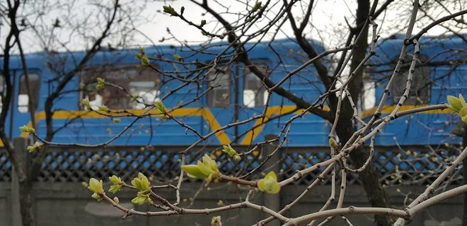 В Киев пришла метеорологическая весна. Зима была очень короткой, почти рекорд - Фото