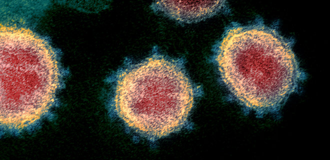 Биологи не нашли признаков генетической перетасовки у коронавируса - Фото