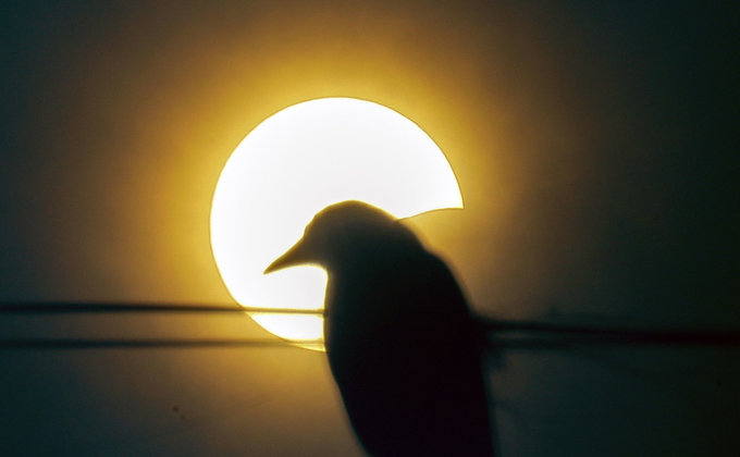 Кольцеобразное солнечное затмение. Как в мире наблюдали за редким явлением: фото