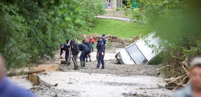 Прокуратура считает причиной потопов на Прикарпатье вырубку леса: открыто дело - Фото