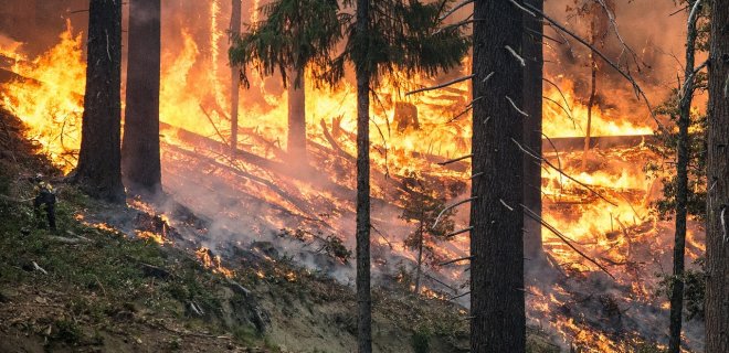 Сибирь снова горит. 3 млн га в России объяты огнем - Фото