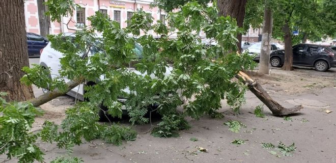 Вчера Одессу накрыл ураган: есть пострадавшие - фото - Фото