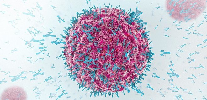 Антитела к коронавирусу начинают падать на третий месяц и вскоре исчезают – исследование - Фото