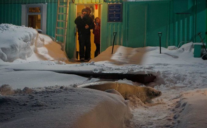 Антарктида. К украинским полярникам приполз в гости возбужденный тюлень – фото, видео
