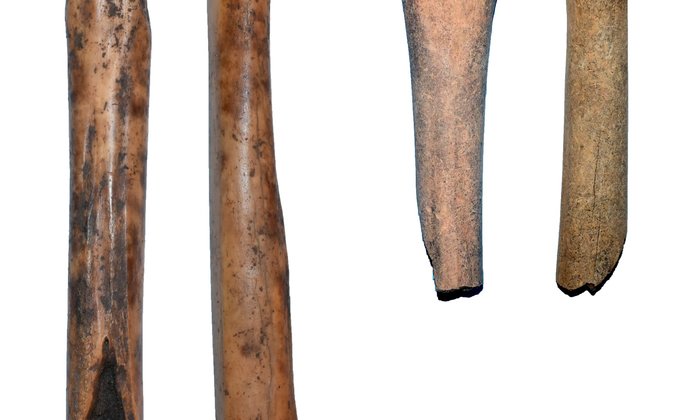Археологи нашли под Полтавой древние артефакты: некоторым более 4000 лет – фото