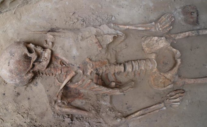 На Хортице обнаружили 2500-летнее захоронение скифского воина: фото
