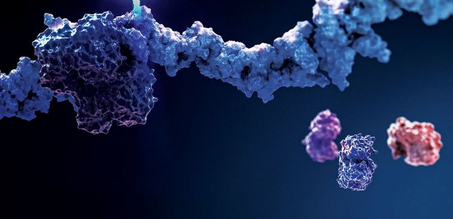 18 мутаций за 132 дня: коронавирус у пациентки на химиотерапии быстро накопил мутации - Фото