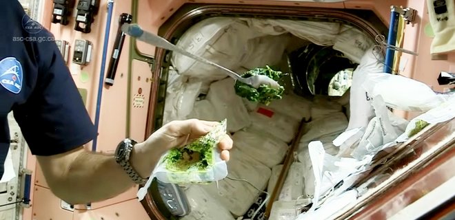 Астронавты NASA поделились едой с российскими космонавтами: у тех проблема с Прогрессом - Фото