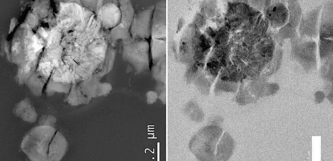 Австрийские ученые вырастили микробов на камне с Марса: фото - Фото