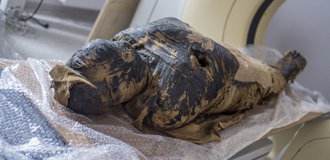 В Польше обнаружили первую в мире египетскую мумию беременной женщины: фото - Фото