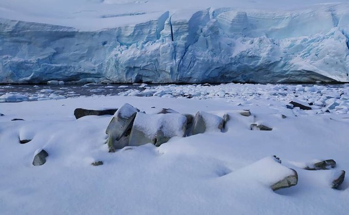 Украинцы приблизились к разгадке тайны "загадочного скелета кита" в Антарктиде – фото