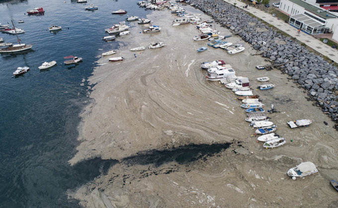 Мраморное море в Турции покрылось слизью. Эрдоган говорит об угрозе для Черного моря: фото