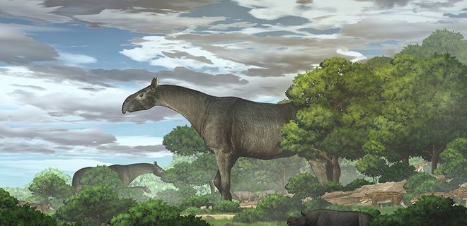 В Китае открыли новый вид гигантского носорога. Он жил 26,5 млн лет назад и весил 21 тонну - Фото