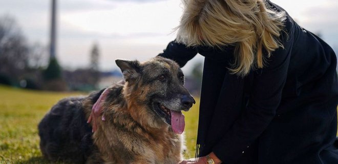 У Байдена умерла одна из немецких овчарок, пес по кличке Чэмп - Фото