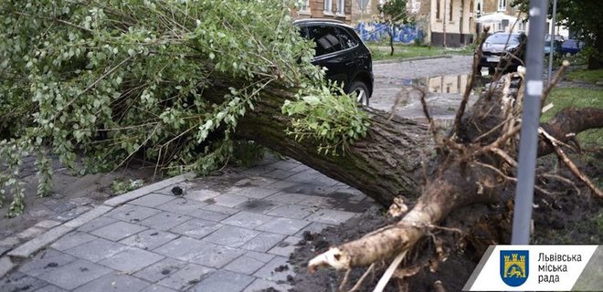 На Львів знову обрушилася буря: відключено електрику, повалені дерева – відео - Фото