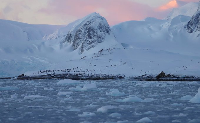 Антарктида. Возле украинской станции рекордное для зимы скопление пингвинов – фото