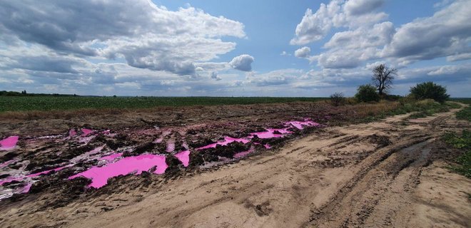 Розовые лужи возле Ровно. Нацполиция открыла уголовное дело – фото - Фото