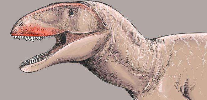 В Узбекистане нашли альфа-динозавра с 