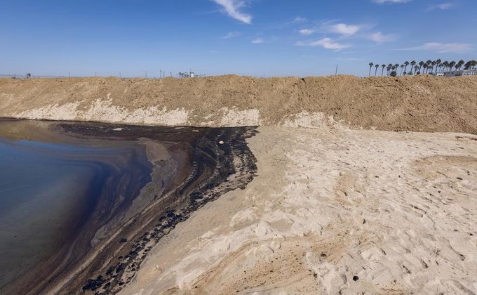 Гинуть птахи і риба. Біля берегів Каліфорнії стався масштабний розлив нафти – фото